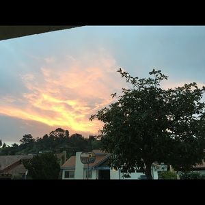 Meet your Posher, Teresita