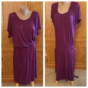NWT Talbots Grape Purple drop waist tie dress XL