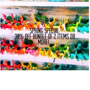 Spring special!