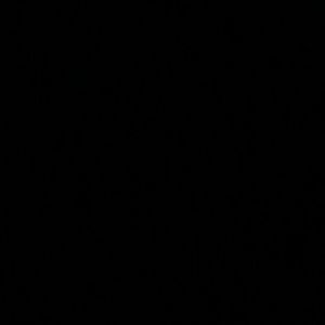 Meet your Posher, Rosa