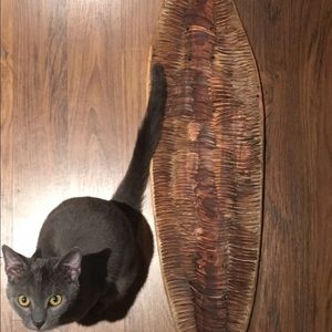 Meet your Posher, Thiago