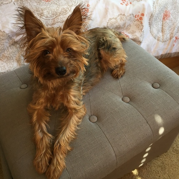 Meet your Posher, Lesley - Picture 3 of 3