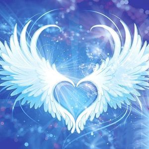 Meet your Posher, Natasha