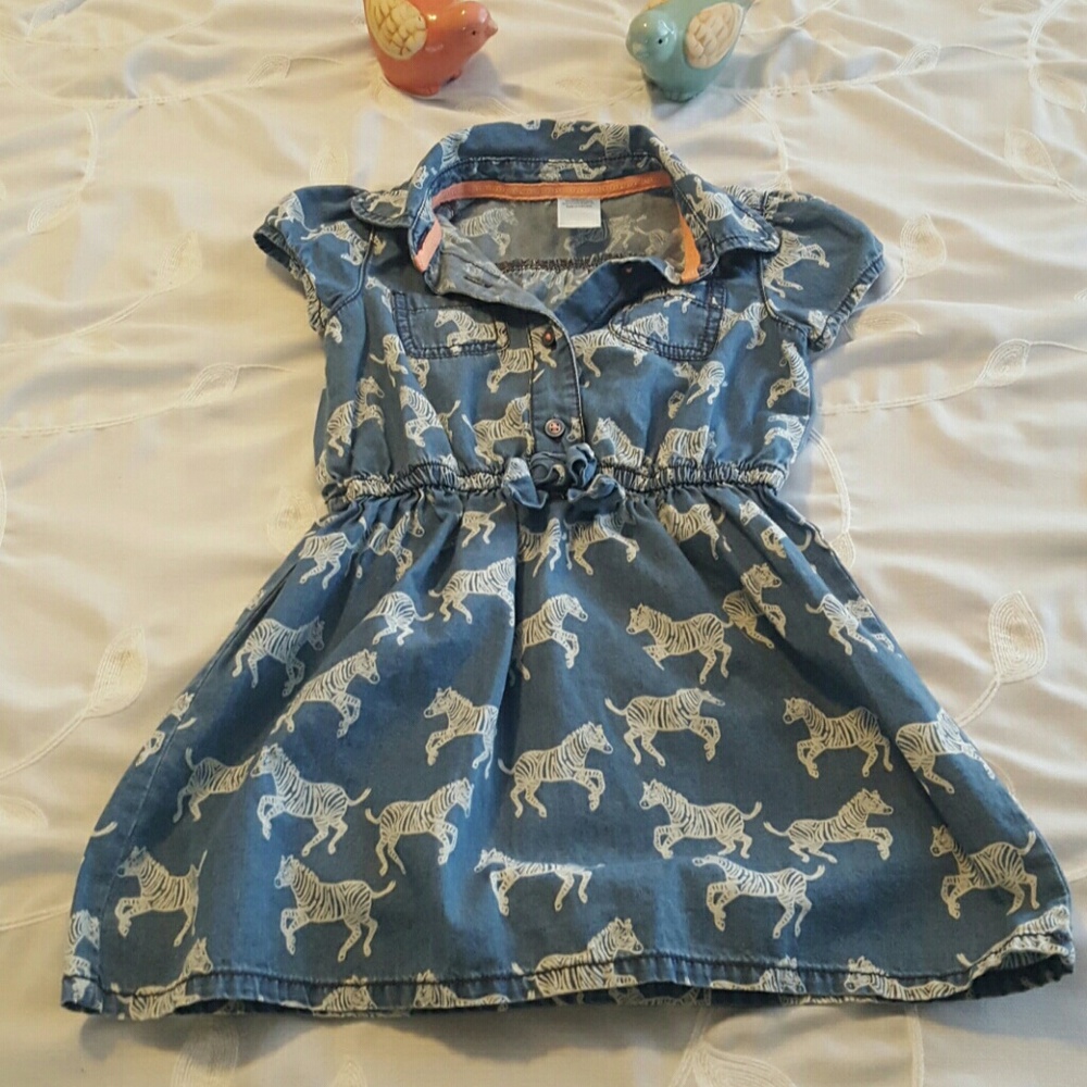 Gymboree chambray zebra print dress