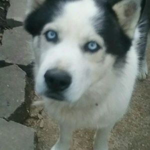 Meet your Posher, April