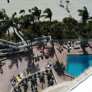 Meet your Posher, Ebony