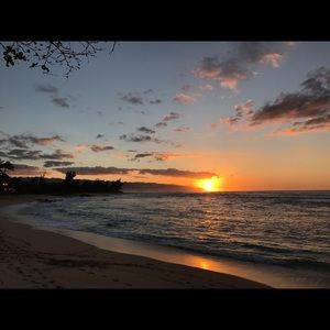 Meet your Posher, Bree