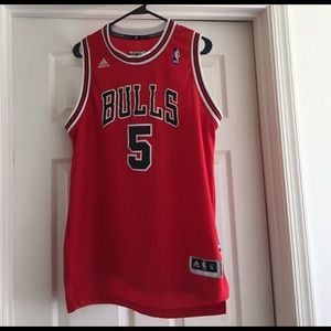 Chicago Bulls NBA Carlos Boozer jersey