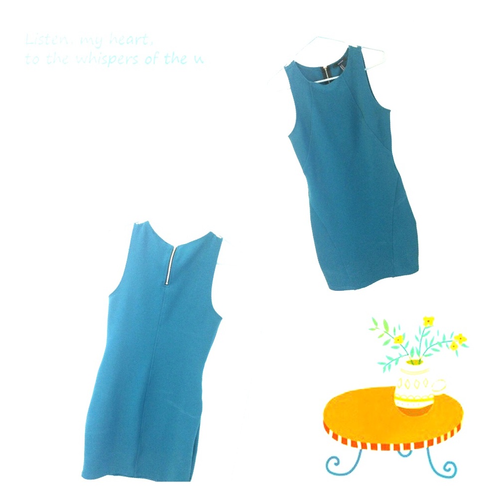 Sleeveless zip up back dress