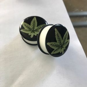 1 inch pot leaf plugs