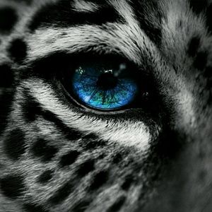 Meet your Posher, Tania