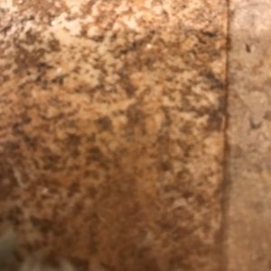 Meet your Posher, Gianni