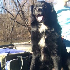 Meet your Posher, John