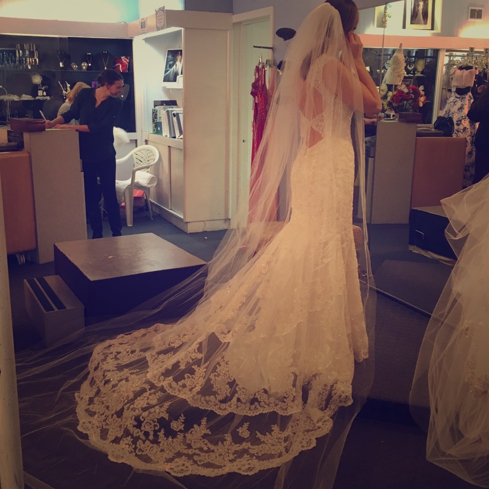 120" Cathedral Veil