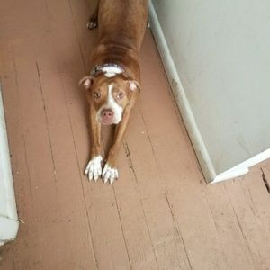 Meet your Posher, Tiffany