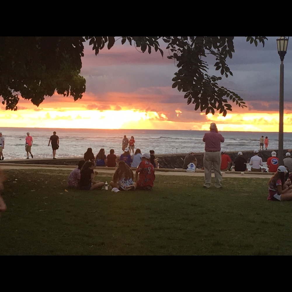 Meet your Posher, Tara