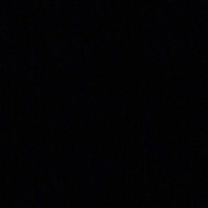 Meet your Posher, Shawn