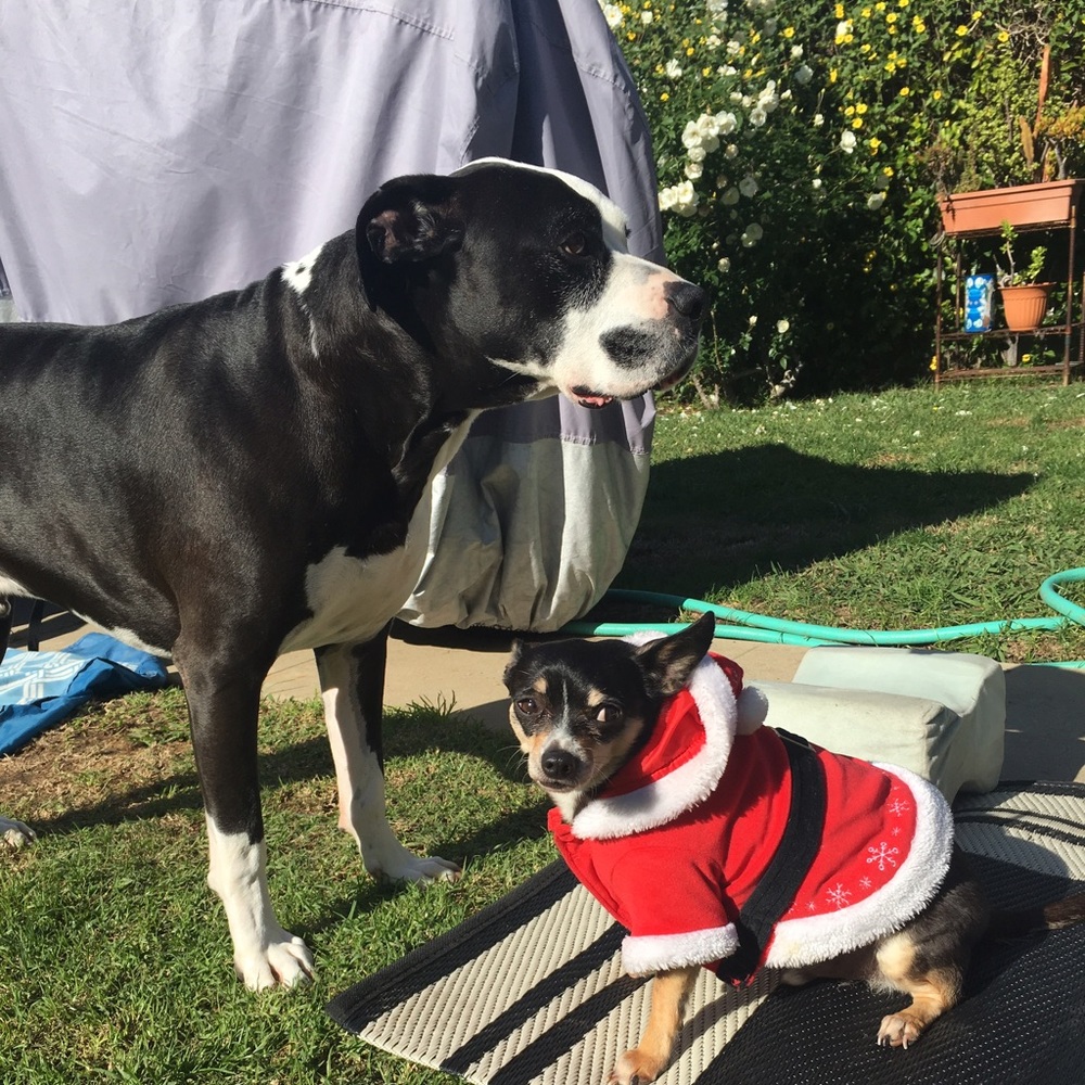 Meet your Posher, Aja