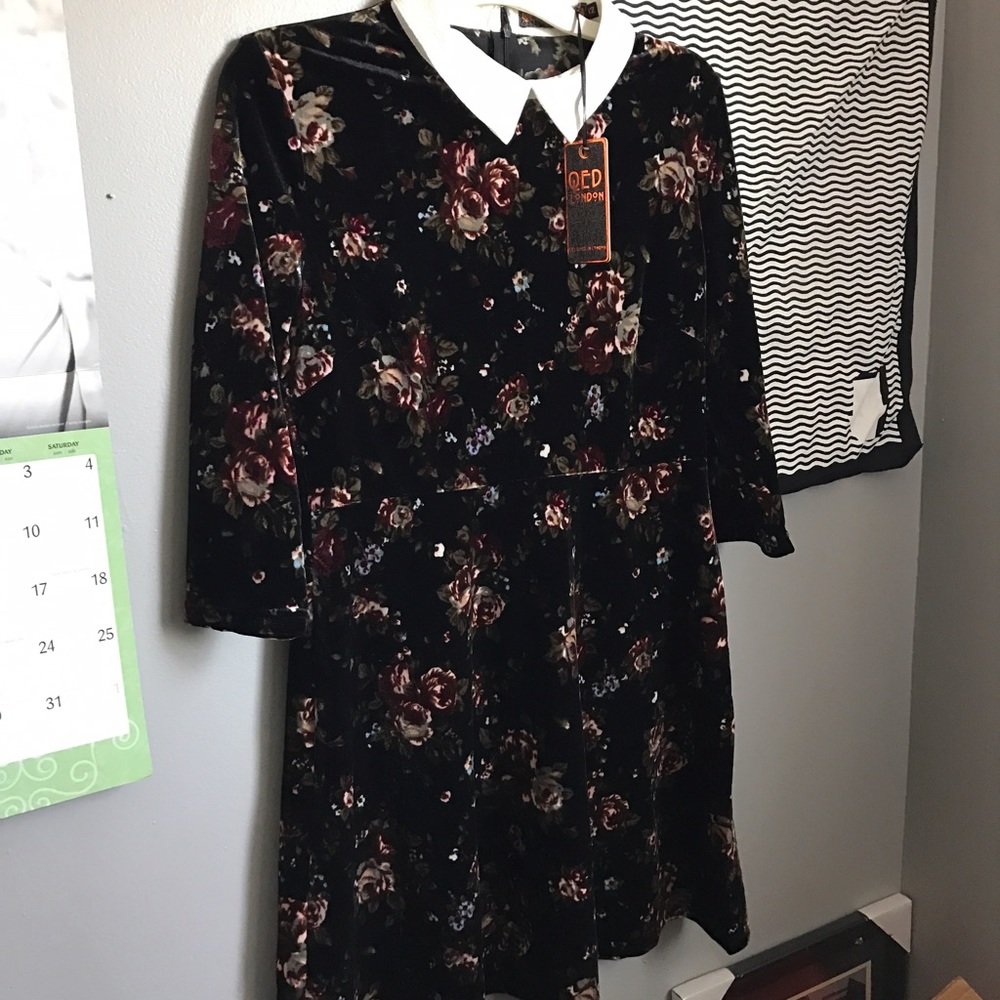 Floral Peter Pan Collar Dress
