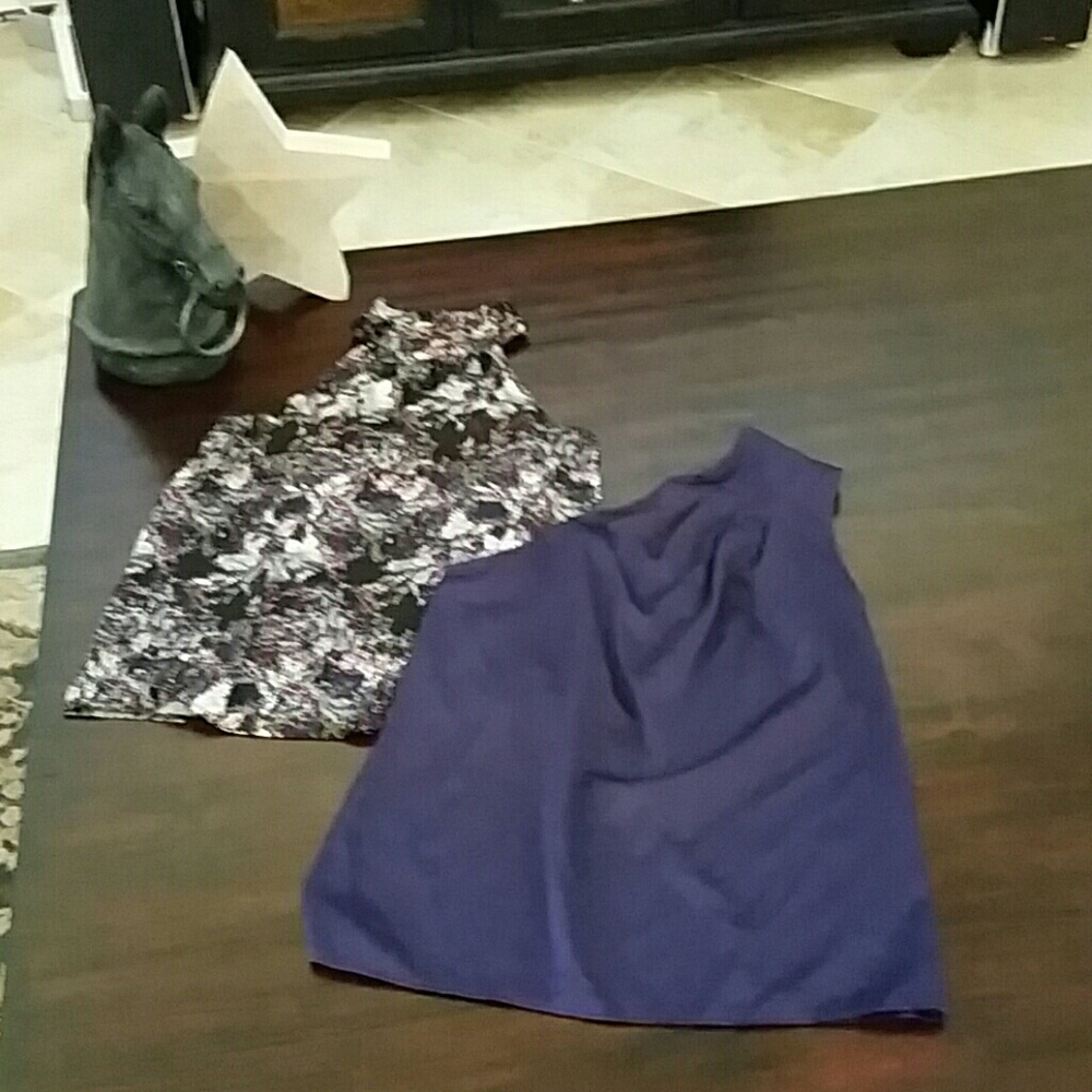Express/Limited dressy tops, lot of 2
