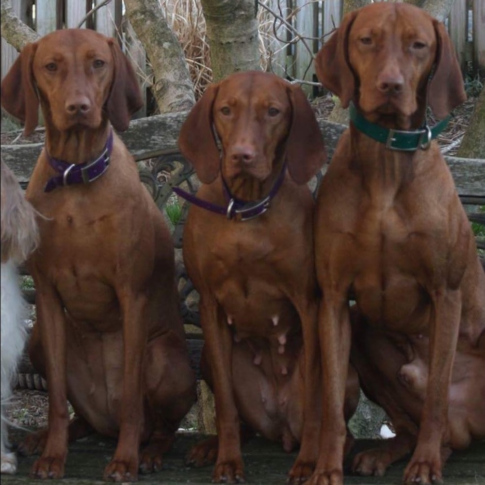 🐾 Make us an offer we can't refuse! 🐾