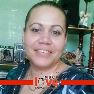 Meet your Posher, Vernice