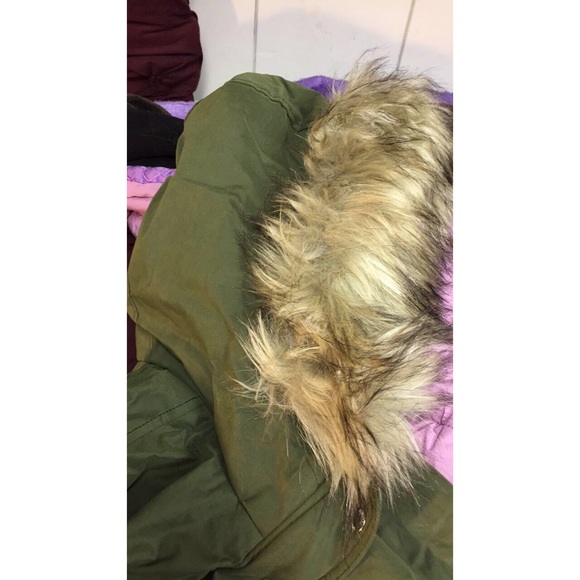 Hollister Coat - Picture 4 of 4