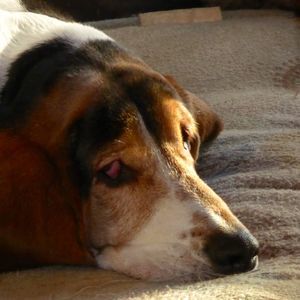 Meet your Posher, Lorraine