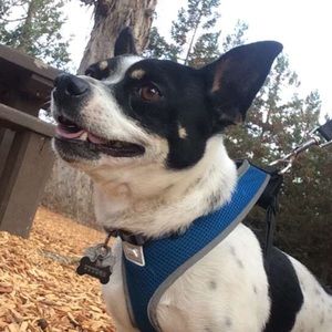 Meet your Posher, Elias