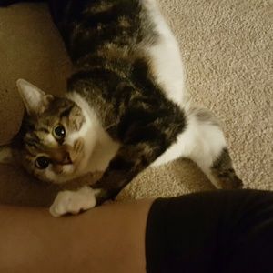 Meet your Posher, Julia