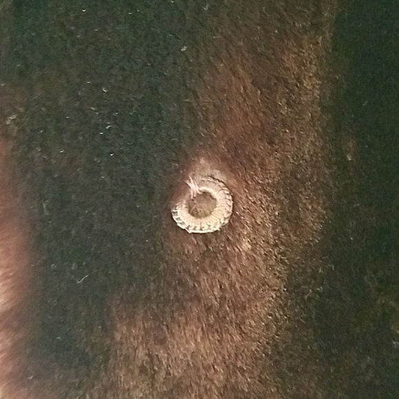 Vintage Morton's Washington DC fur coat PRICE DROP - Picture 4 of 7