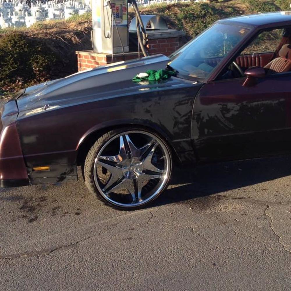 Meet your Posher, Allen