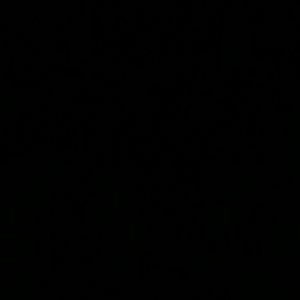 Meet your Posher, Meledine