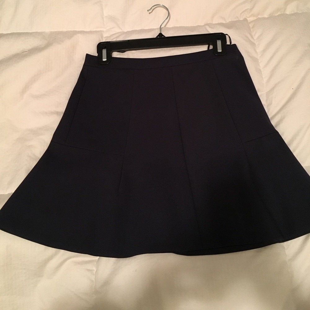 J.Crew Navy skirt