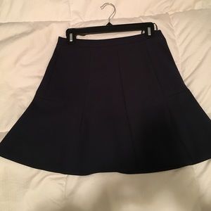 J.Crew Navy skirt