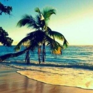 Meet your Posher, Sue