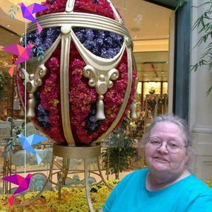 Meet your Posher, Sandy