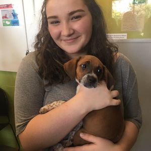 Meet your Posher, Emerald