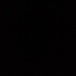 Meet your Posher, Brandi