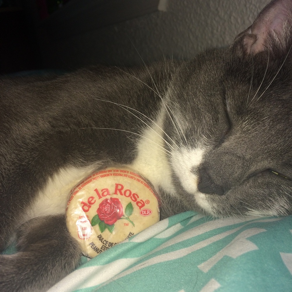 Meet your Posher, Cymone