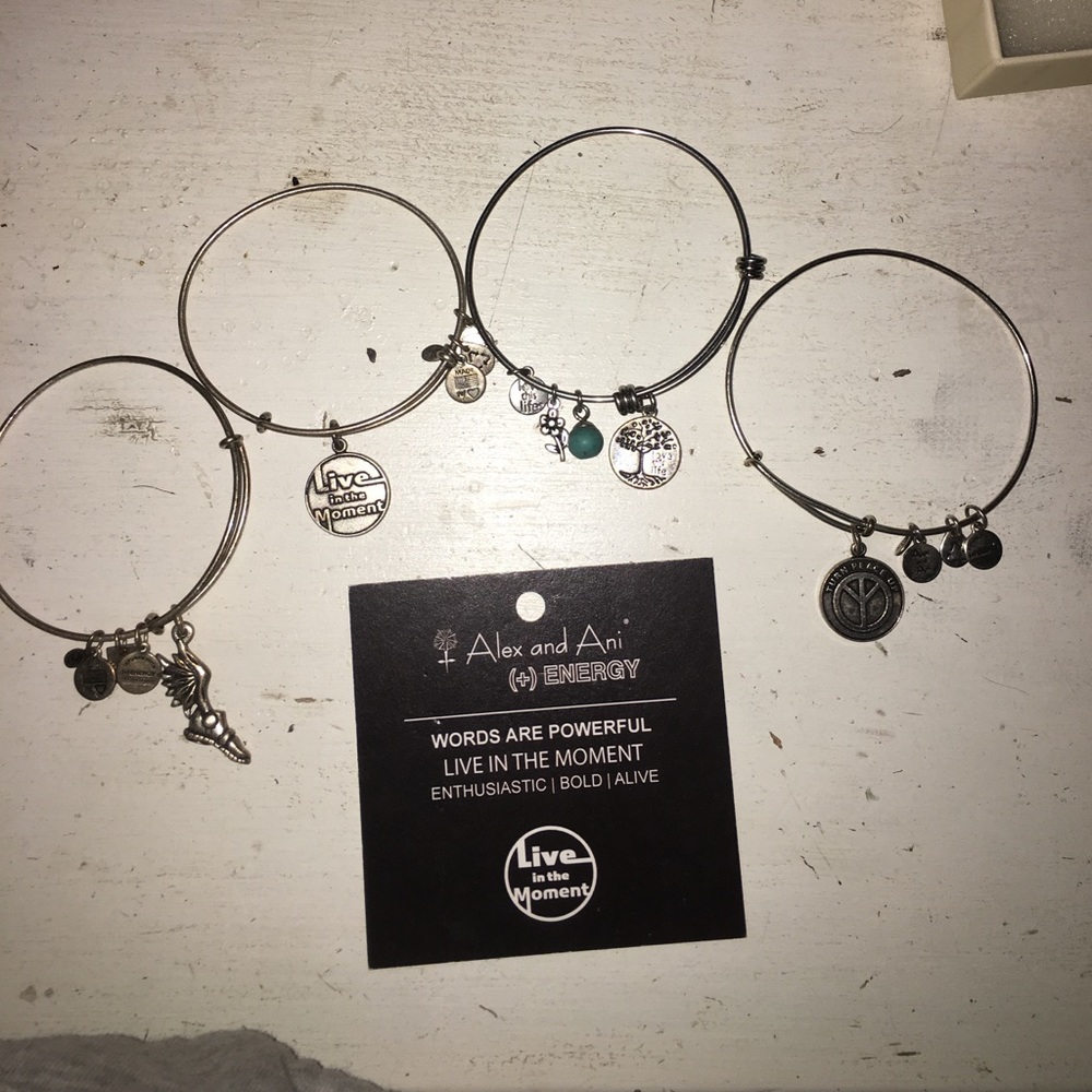 ALEX AND ANIS
