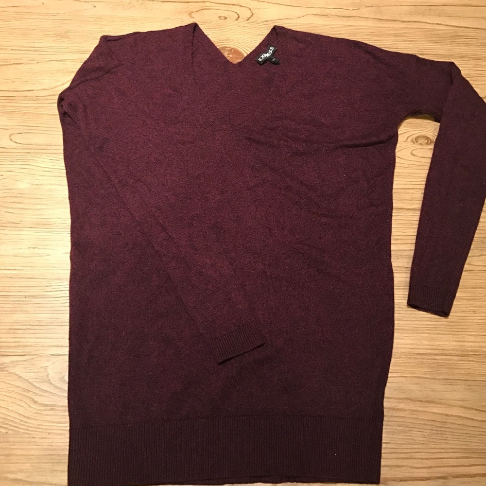 Express purple/burgundy V-neck Sweater