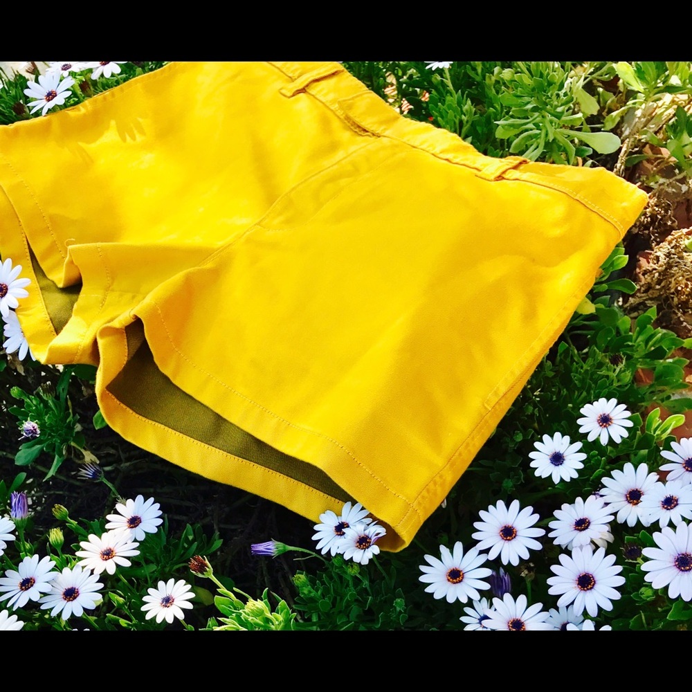 Henry & Belle Yellow Shorts