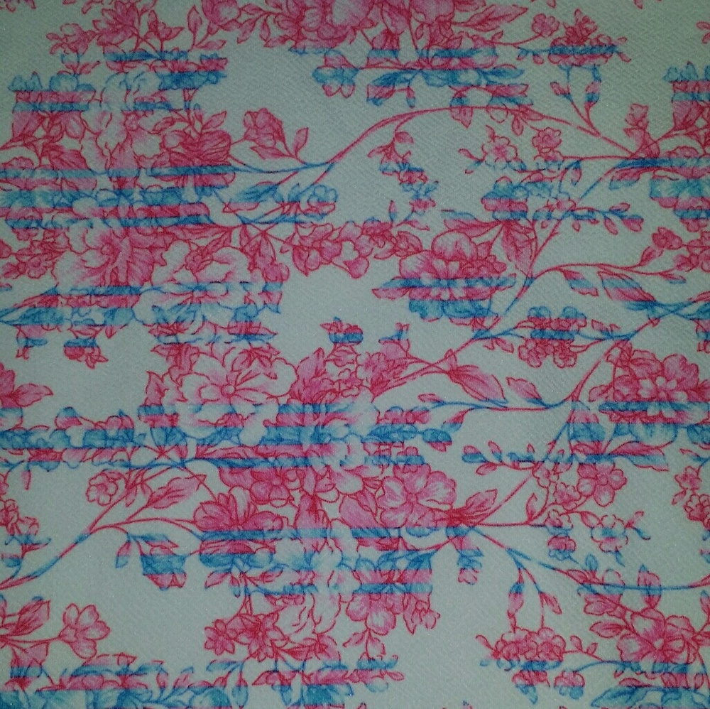 Like new 2xl floral Cassie skirt