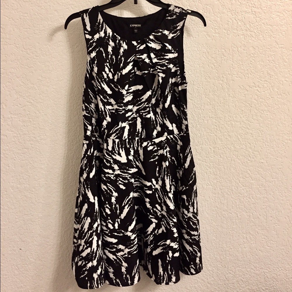 Fit and flare Express dress