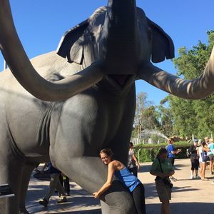 Meet your Posher, Bethany