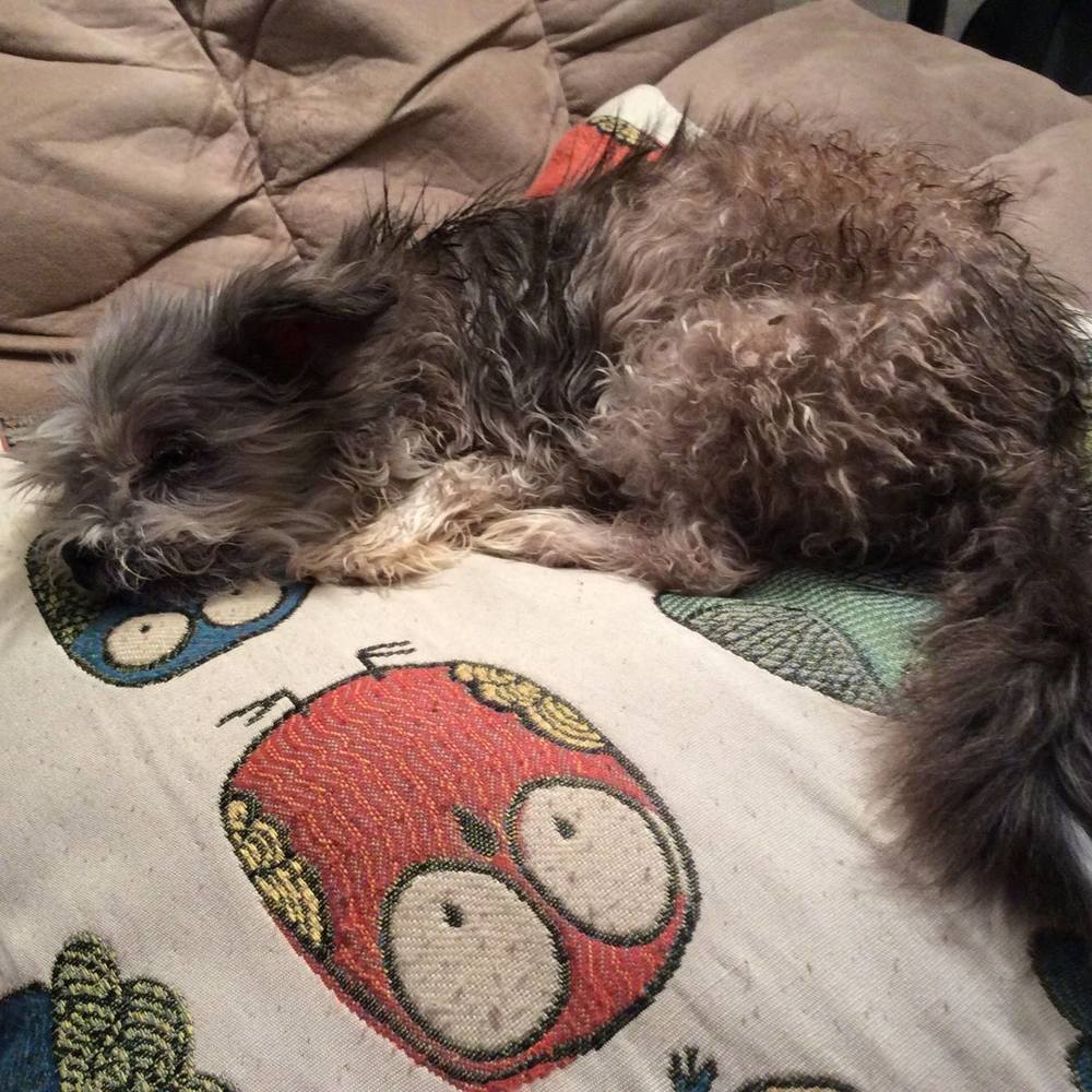 Meet your Posher, Blair