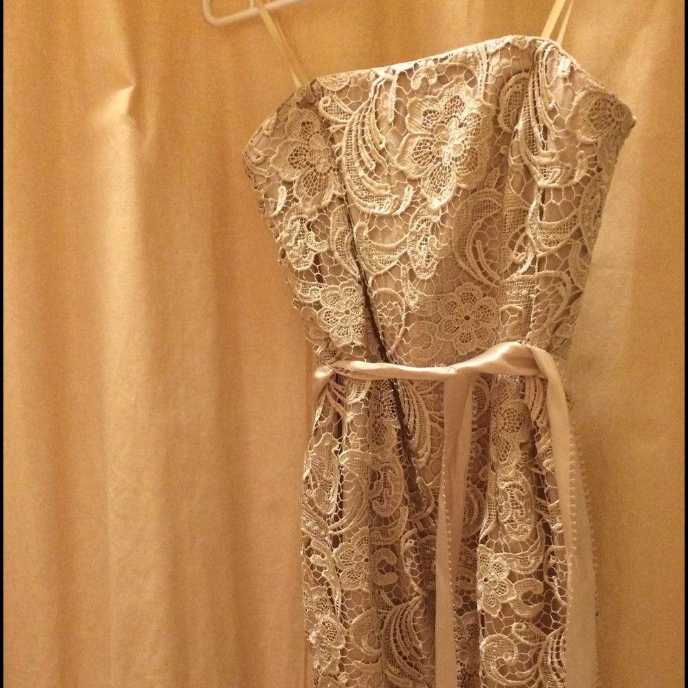 NWT cache dress sz 2 ivory lace