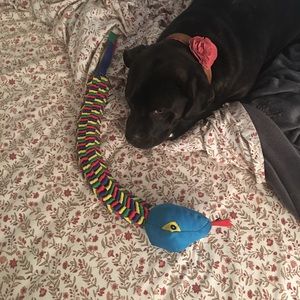 Meet your Posher, Uliana