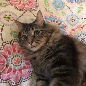 Meet your Posher, Courtney